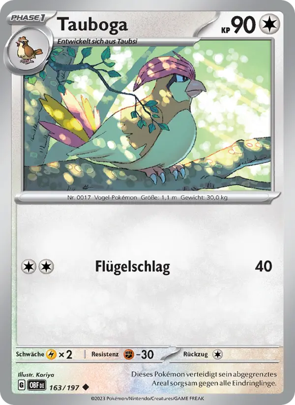 Tauboga